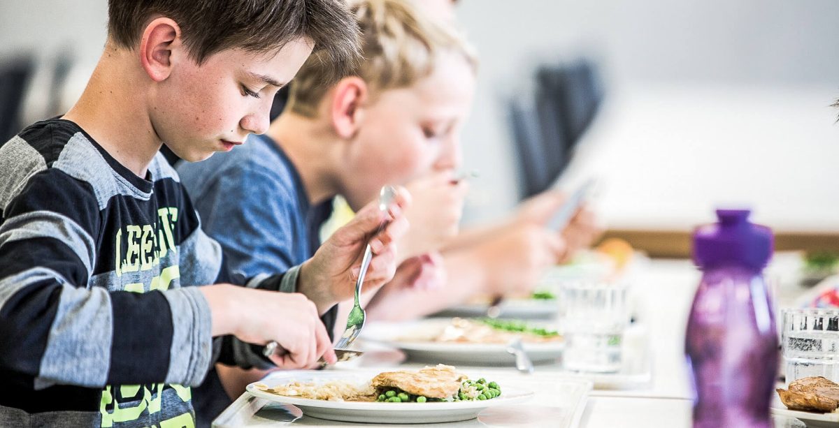 Two boys eating lunch at school cooked by a small caterer. 