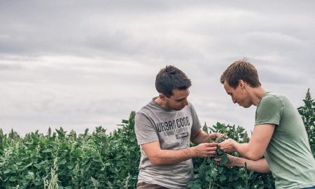 Dos hombres controlan el crecimiento de una planta Local exotics