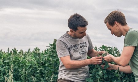 Two men control the growth of a Local exotics plant