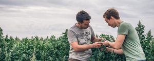 Local Exotics: Das Gute liegt näher als man denkt