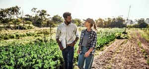 Regenerative Food – Lösungsansatz gegen den Klimawandel?