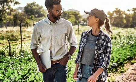 Reunión entre el director de agricultura y un agricultor en el campo, hablando de alimentos regenerativos.