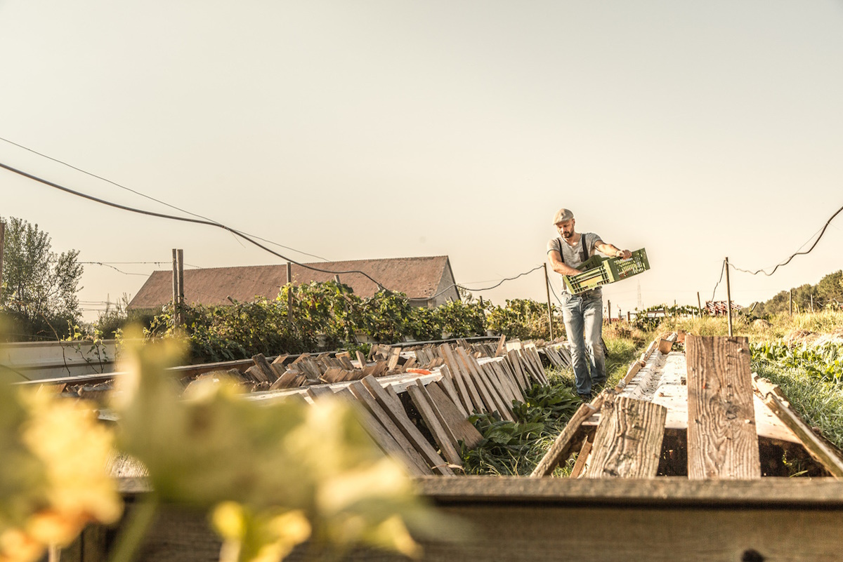 Andreas Gugumuck at his farm - here hebreeds and processes around 300,000 vineyard snails per year.